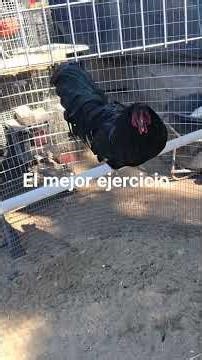 14 de abril de 2026