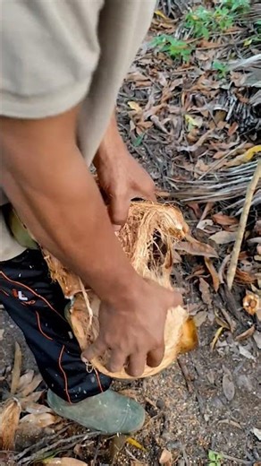 Easy and simple way to peel coconut