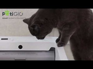 Smart cat litter box Peti-to-Care PETI-200 | Smart kuweta dla kota Peti-to-Care PETI-200