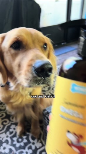 Finn and Matty on TikTok