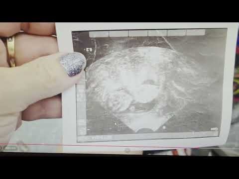 WEIRD THINGS FOUND @ the GOODWILL BINS!!