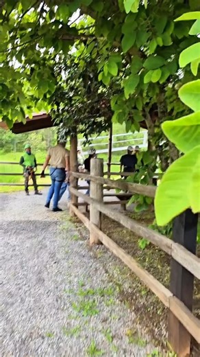 Me encantó | Liza Baez