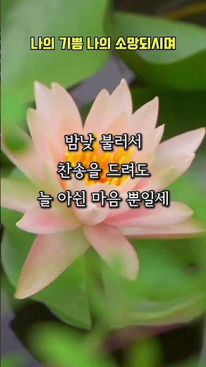 나의 기쁨 나의 소망되시며 #찬송가 #95장