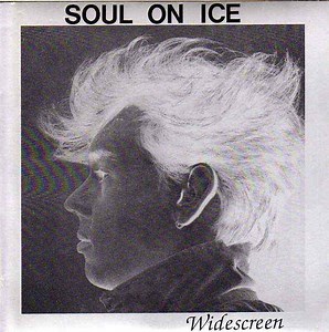 Soul On Ice - Widescreen