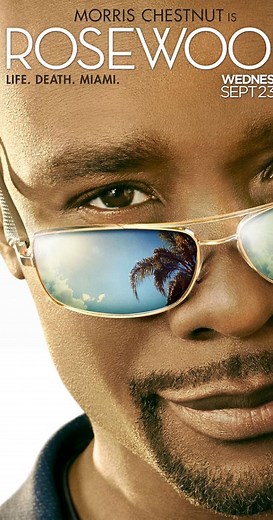 Rosewood (TV Series 2015–2017) ⭐ 6.8 | Crime, Drama, Mystery