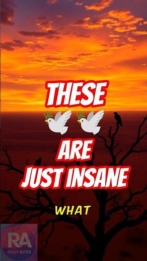 Australia’s Weirdest Birds That Sound FAKE 🐦🔥 #australia #birdfacts #wildlifefacts