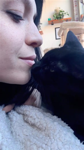 My best friend #cuteanimal #fy #cat #blackcat #cats #fyp #fypシ゚viral #fluffytail #flufftail #love