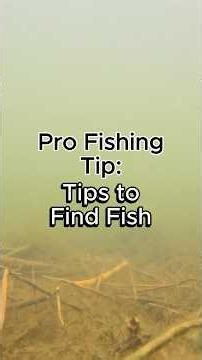 Tips to Find Fish #fishing