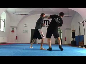 Systema Sparring Mike and David