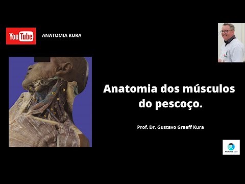 Anatomia dos músculos do pescoço.