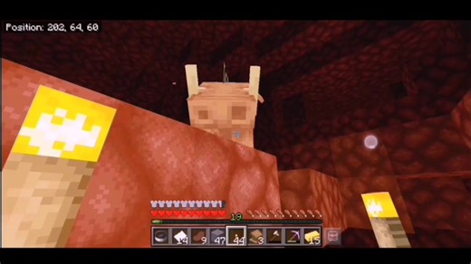 Minecraft Nether Quartz Mining Tips