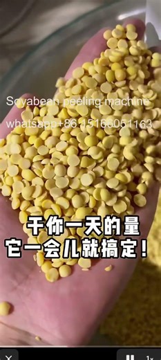 Soyabean skin removing machine/Soyabean peeler/Soyabean peeling machine for Poland