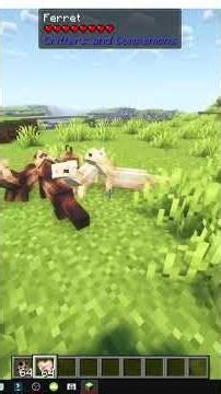 CÓMO DOMESTICAR FERRETS en MINECRAFT con Critters and Companions