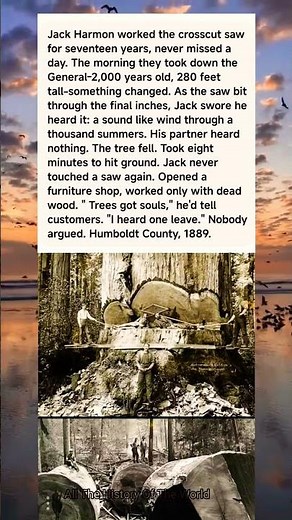 Jack Harmon - The Falling Redwood#printing #art #reel #japan #usa