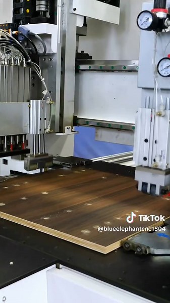 Blue Elephant CNC Double Head Drilling Machine Overview