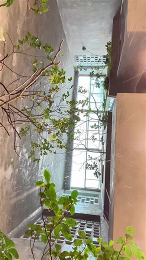 Mưa lớn và thiết kế vườn độc đáo