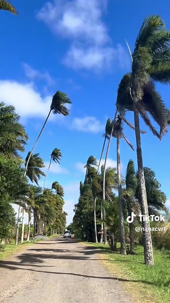 loder mon peï i mank a mwin #reunionisland #974 #reunion #island #reunion #🇷🇪