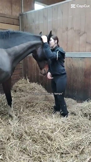 Il faut descendre de cheval pour apprendre à monter. 😌