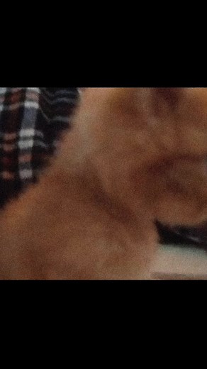 Exploring Liminal Spaces and Aesthetic Nostalgia