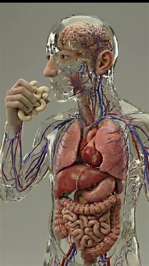 Discover Cashew Benefits for Heart, Brain, and Energy