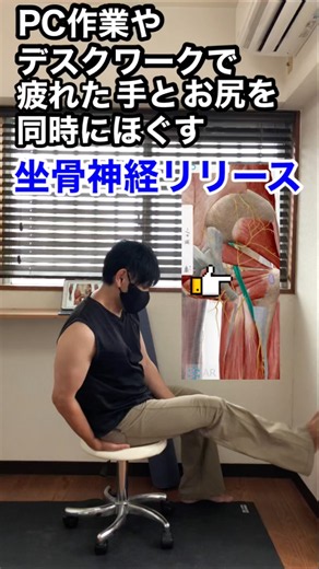 デスクワークで疲れた手とお尻を同時にほぐす坐骨神経リリース #shorts #筋膜リリース