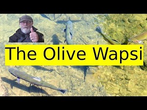 Flies for rainbow trout (Olive Wapsi)