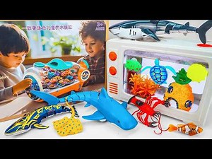 [🐟Toy asmr🦈] Zuru Robo Turtle & RC Shark Swimming Aquarium Playset ASMR | Satisfying Unboxing