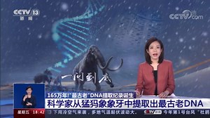 [共同关注]165万年！“最古老”DNA提取纪录诞生 科学家从猛犸象象牙中提取出最古老DNA