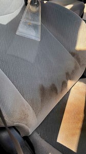 1.2M views · 4.7K reactions | Pro Deep Cleaning LLC 9/22-10/06✨ $100 Interior Deep Cleaning Special✨ Includes: - Deep cleaning of seats hot water extraction - Vacuuming carpets - Steam cleaning the interior doors dash and cup holders Note: This offer is not for extremely dirty vehicles.Please send pictures for an estimate. Contact:Patrick | 954-607-9567 | Pro Deep Cleaning Patrick | Facebook
