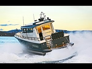 Sargo 36