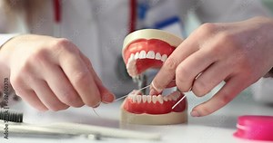 Woman dentist demonstrates proper flossing technique