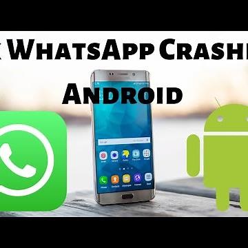 How to Fix WhatsApp Keeps Crashing Android 2024: WhatsApp Error