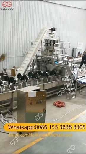 Fully Automatic IQF Frozen Green Peas Processing Line