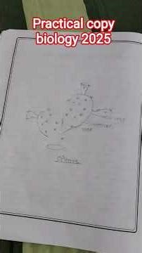 practical copy biology class 12 biology
