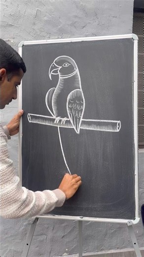 Parrot drawing ideas || easy parrot art ||🦜 #parrotart #easydrawing #viralart