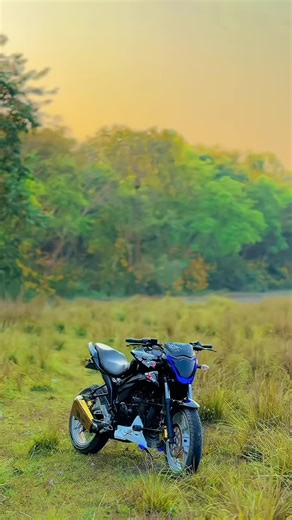 Gixxer Monotone vs Suzuki Monotone Comparison