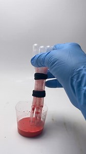 Pressure and release, without it the horses foot cannot move blood around adequately. Here’s a small demonstration of pressure and release using pipettes and tinted water. | The study of the equine hoof