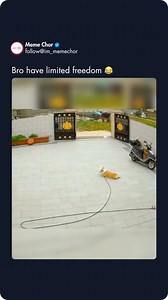 1.6M views · 42K reactions | Bro have limited freedom  | Meme Sarcasm Comedy | Facebook