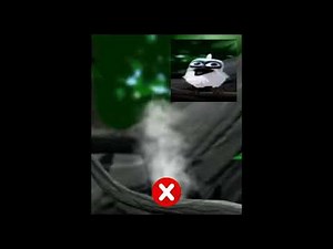 Bird screaming meme Explained, (Part Two)