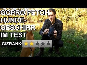 GoPro Fetch Hundegeschirr im Test