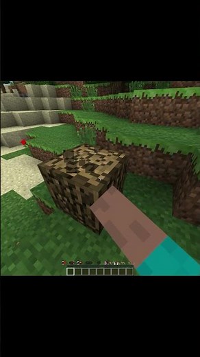 Minecraft’s Most Disturbing Version