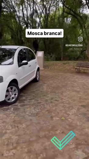 À venda: Citröen C3 Exclusive 1.4 Manual 2012 Única dona Histórico completo de revisões Motor 1.4 8V Flex de 82 CV e 12,6 kgfm de torque Câmbio manual de 5 marchas Direção elétrica Som SONY com Mp3, AUX, USB, rádio Ar condicionado digital com função AUTO Banco do motorista com regulagem de altura Bancos dianteiros com apoios de braço central Faróis de neblina dianteiros e traseiros Bancos em 2 tecidos Carpete de teto aveludado Vidros e travas elétricas Retrovisores laterais elétricos Computador 