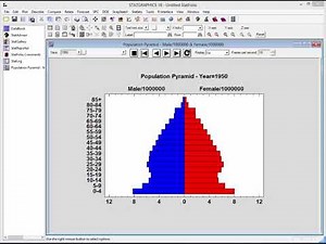 Population Pyramid Statlet
