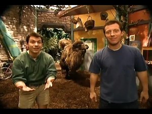 Zoboomafoo Cap. 38: "Los Cuatro Elementos"