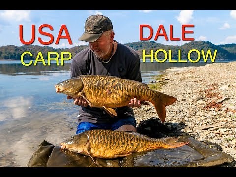USA carp Dale Hollow