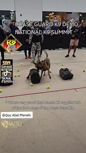 COAST GUARD K9 DEMO - NATIONAL K9 SUMMIT *We are very proud that Manalo K9 supplied 252 dogs out of the 600 K9s deployed by the Coast Guard K9. Doc Abel Manalo #K9 #k9s #CoastGuardK9 #CGK9 #PhilippinesK9 #NationalK9Summit #1stNationalK9Summit #ManaloK9 #Superdogs #workingdogs #lawenforcement #MWD #EDD #NDD #belgianmalinois #dogs #pets #military #police #coastguard #CGK9 | Doc Abel Manalo