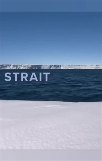 Exploring Wildlife in USA National Parks