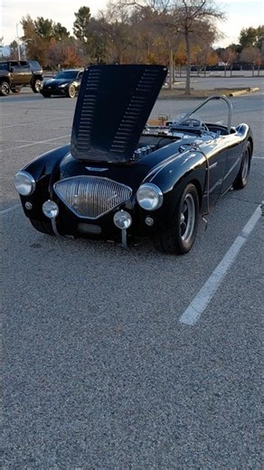 Classic Austin Healey 100M