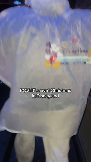 Best Christmas EVER #california #foryou #officiallytheangelina #comedy #disneyland