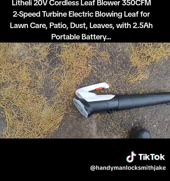Litheli 20V Cordless Leaf Blower Review: Power & Portability